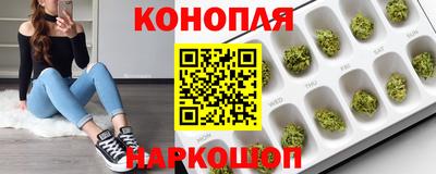 индика Конаково