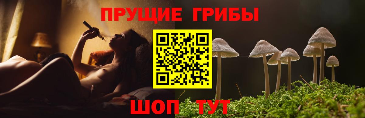 цены наркотик  Вход с VPN  Кстово  Галлюциногенные грибы MAGIC MUSHROOMS  Псилоцибиновые грибы ЛСД 